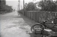 台肥公司《食品廠相簿》底片藏品圖，第34張