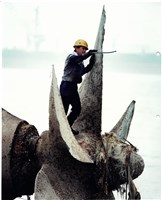 「各展所長」照片藏品圖，第1張