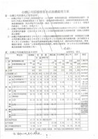 台機公司股權標售後續方案文獻影本藏品圖，第2張