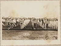 電信工會參加公務員運動會相片藏品圖，第2張