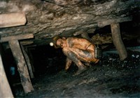 瑞三煤礦礦工勞動景象攝影組1藏品圖，第9張