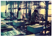 吉他製造工程照片6藏品圖，第1張