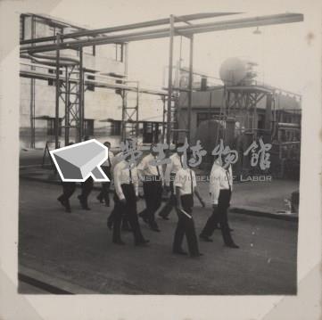 台肥公司《行政院國營機關攷察團蒞廠攷察》照片2藏品圖，第8張