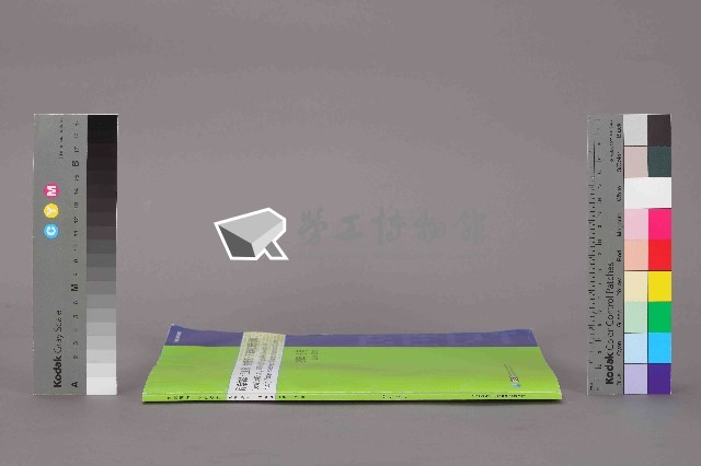 《中華民國臺閩地區職業訓練、技能檢定、就業服務、外籍勞工統計速報》資料時間：民國99年6月藏品圖，第12張