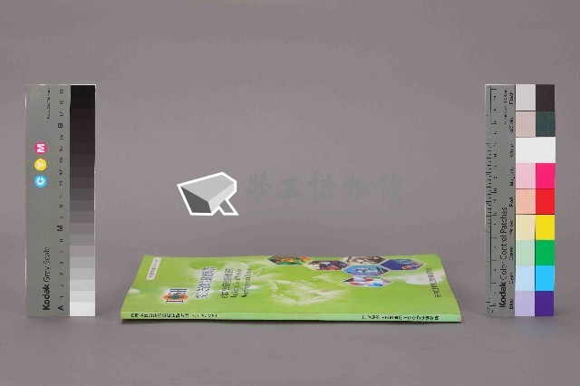 《台灣女性受僱者合宜勞動研究》藏品圖，第12張