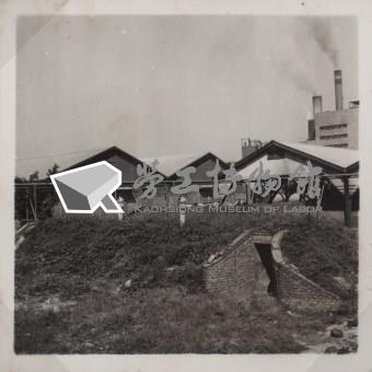 台肥公司《食品廠相簿》照片8藏品圖，第3張