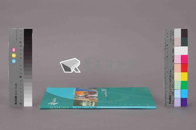  《勞工退休基金監理會中華民國九十六年度年報》藏品圖，第13張