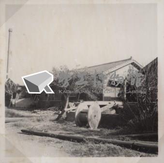 台肥公司《食品廠相簿》照片14藏品圖，第13張