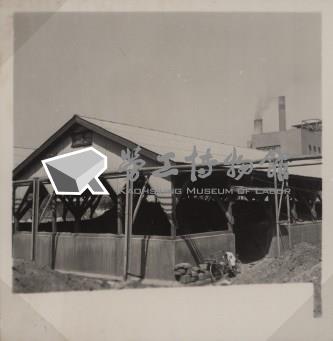 台肥公司《食品廠相簿》照片8藏品圖，第13張