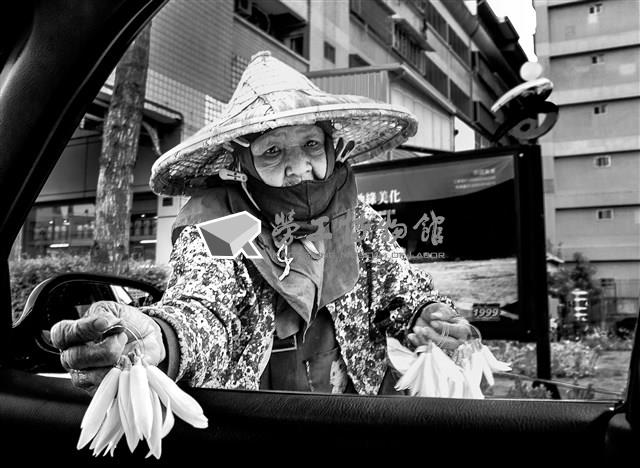 賣玉蘭花藏品圖，第1張