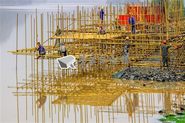 勞動影像暨說故事徵集比賽作品〈搭架〉吳玉麟攝藏品圖，第1張