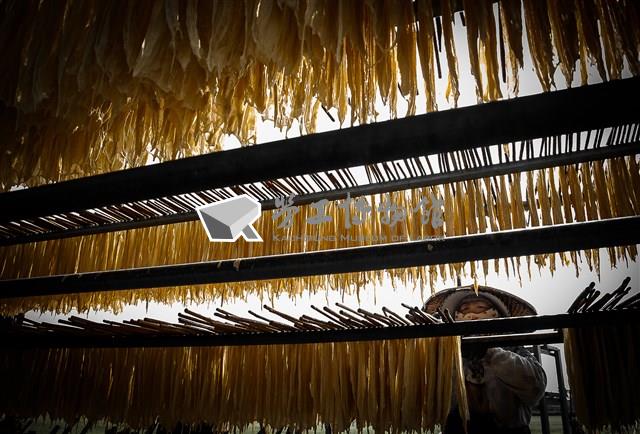 曬豆皮藏品圖，第1張