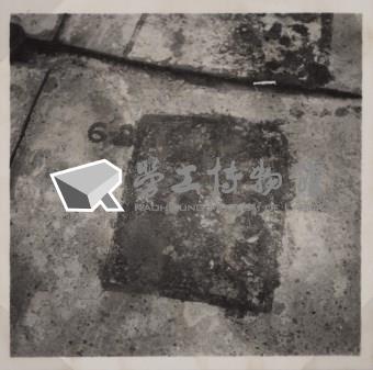 台肥公司《食品廠相簿》照片1藏品圖，第11張