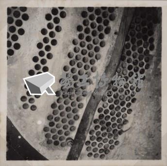 台肥公司《食品廠相簿》照片7藏品圖，第11張