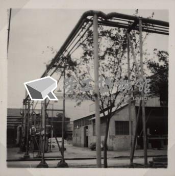 台肥公司《食品廠相簿》照片10藏品圖，第11張