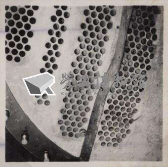 台肥公司《食品廠相簿》照片7藏品圖，第10張