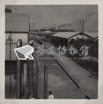 台肥公司《食品廠相簿》照片10藏品圖，第4張