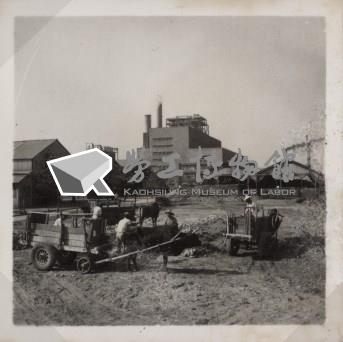 台肥公司《食品廠相簿》照片11藏品圖，第5張