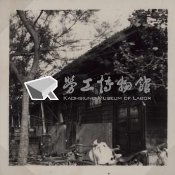 台肥公司《食品廠相簿》照片8藏品圖，第8張