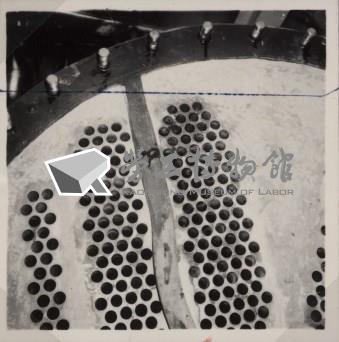 台肥公司《食品廠相簿》照片7藏品圖，第9張