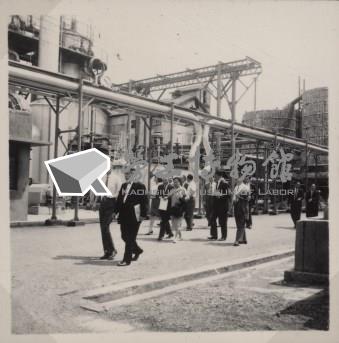 台肥公司《五十五年三月監察委員視察本廠》照片2藏品圖，第2張
