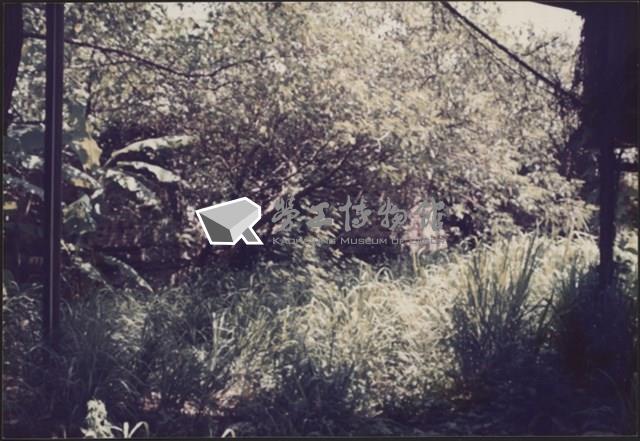 台泥高雄廠教育訓練及活動照片1藏品圖，第12張