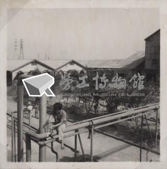 台肥公司《食品廠相簿》照片10藏品圖，第12張