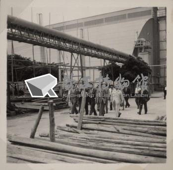 台肥公司《五十五年三月監察委員視察本廠》照片3藏品圖，第6張