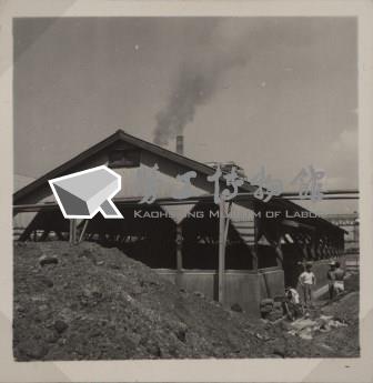 台肥公司《食品廠相簿》照片8藏品圖，第6張