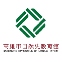 牙飾品的圖片
