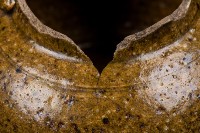 陶罐藏品圖，第6張