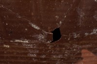 罐藏品圖，第6張