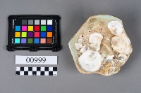 瓷碗藏品圖，第5張