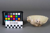 瓷碗藏品圖，第1張