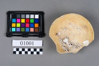 瓷碗藏品圖，第5張