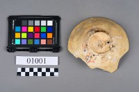 瓷碗藏品圖，第6張