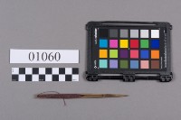 網梭藏品圖，第2張