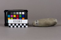 石杵藏品圖，第4張