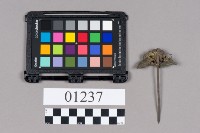 髮簪藏品圖，第2張