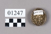 帽徽藏品圖，第2張