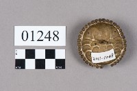 帽徽藏品圖，第2張