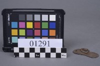 蝴蝶片藏品圖，第1張