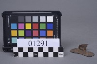 蝴蝶片藏品圖，第2張