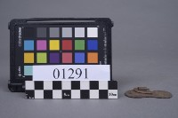 蝴蝶片藏品圖，第3張