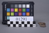 蝴蝶片藏品圖，第4張