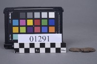 蝴蝶片藏品圖，第5張