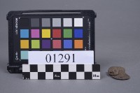 蝴蝶片藏品圖，第6張