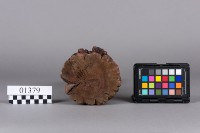 鯉魚燭台藏品圖，第6張