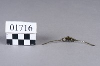 戒指藏品圖，第2張