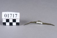 戒指藏品圖，第2張